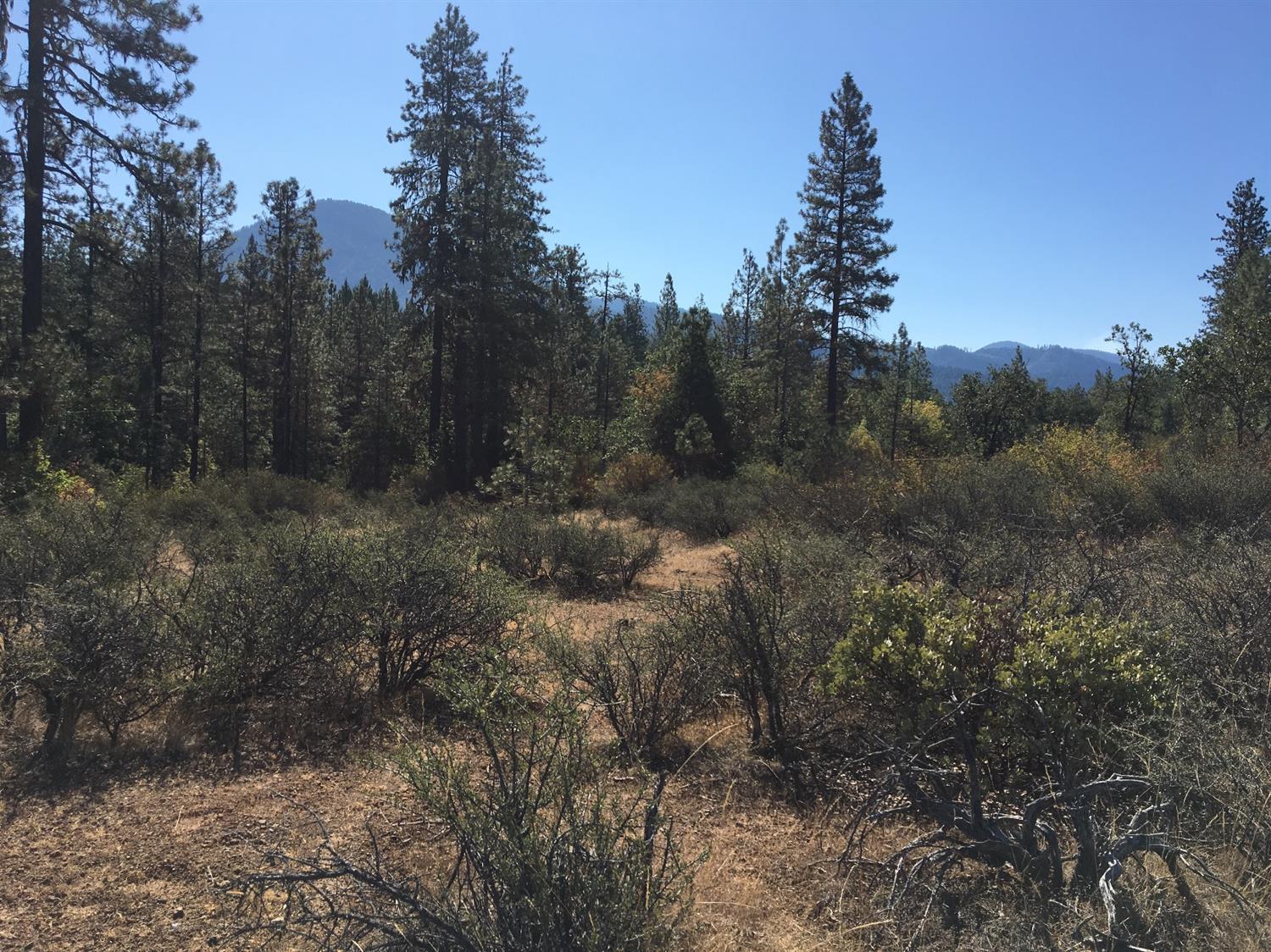 4481 Waldo Road Cave Junction, OR 97523 - Photo 1 of 13 Primary Photo