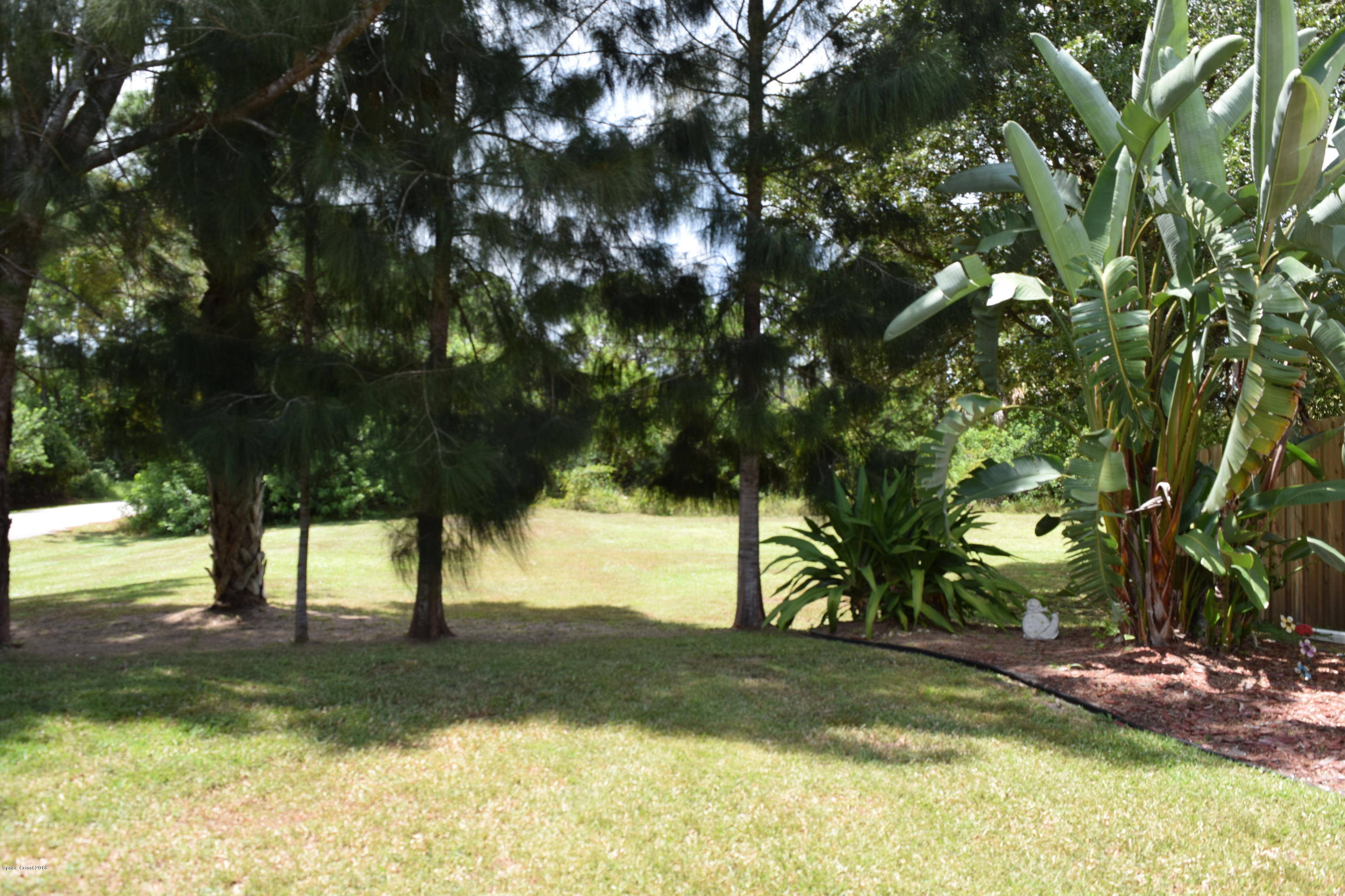 969 Ray Road Southeast Palm Bay, FL 32909 - Photo 21 of 22 a view of yard with tree in back