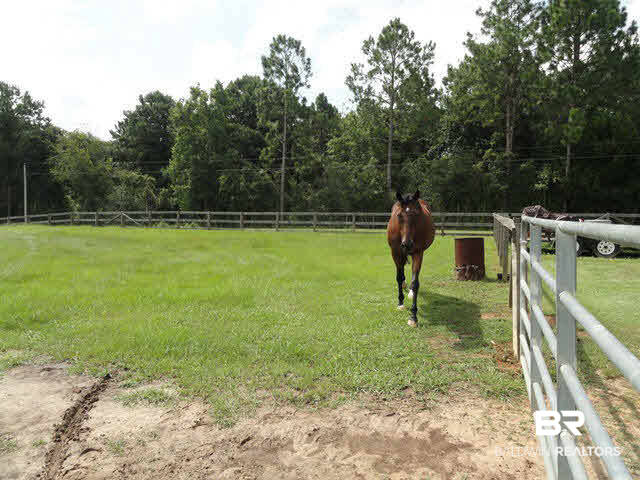 35640 North Spring Road Stapleton, AL 36578 - Photo 13 of 35