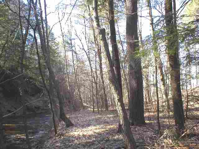 2626 Troy Road Niskayuna, NY 12309 - Photo 6 of 6 Photo 6
