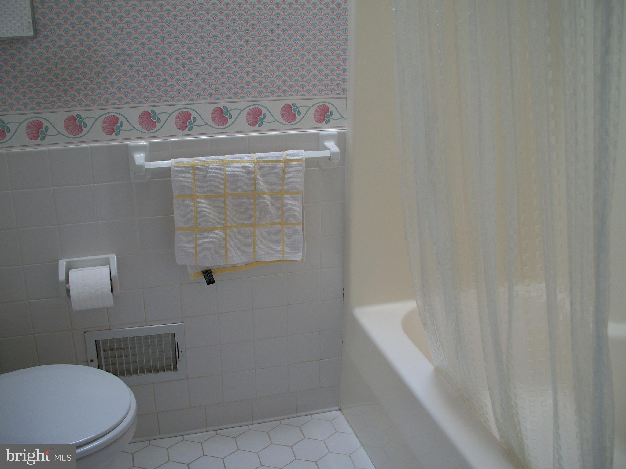 1928 Grafton Shop Road Forest Hill, MD 21050 - Photo 18 of 42 Hall Bathroom