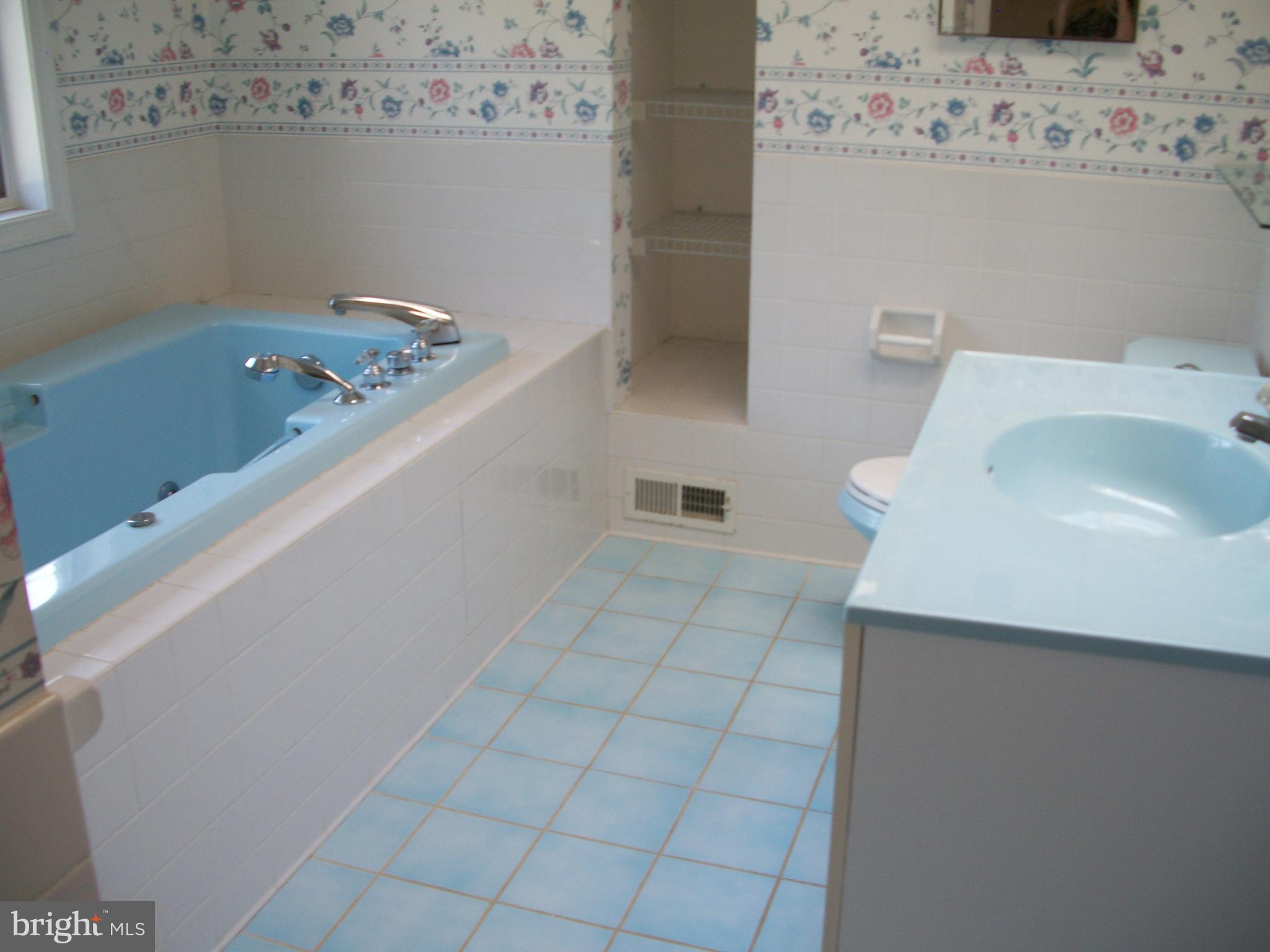 1928 Grafton Shop Road Forest Hill, MD 21050 - Photo 22 of 42 Master Bathroom