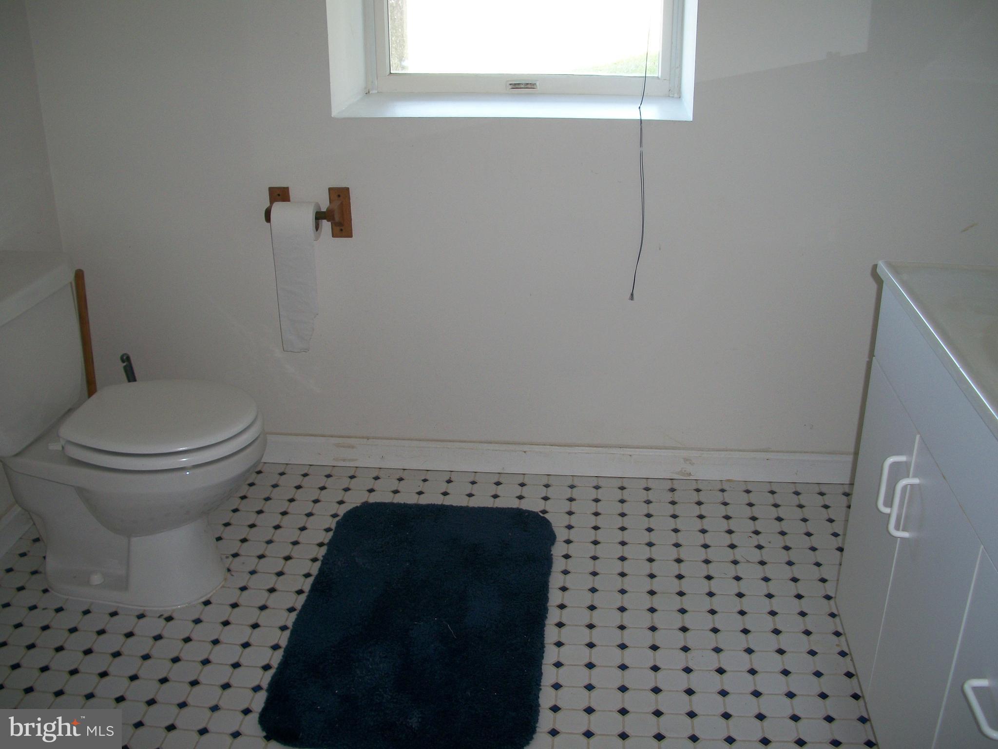1928 Grafton Shop Road Forest Hill, MD 21050 - Photo 29 of 42 Bathroom on Lower Level