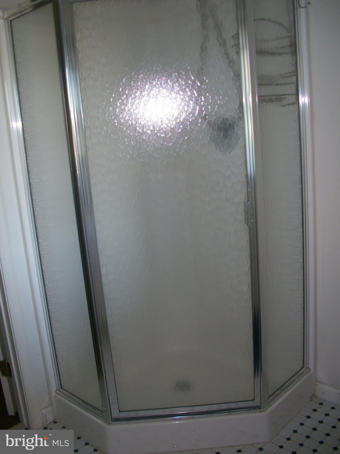 1928 Grafton Shop Road Forest Hill, MD 21050 - Photo 30 of 42 Bathroom Shower Stall on Lower Level