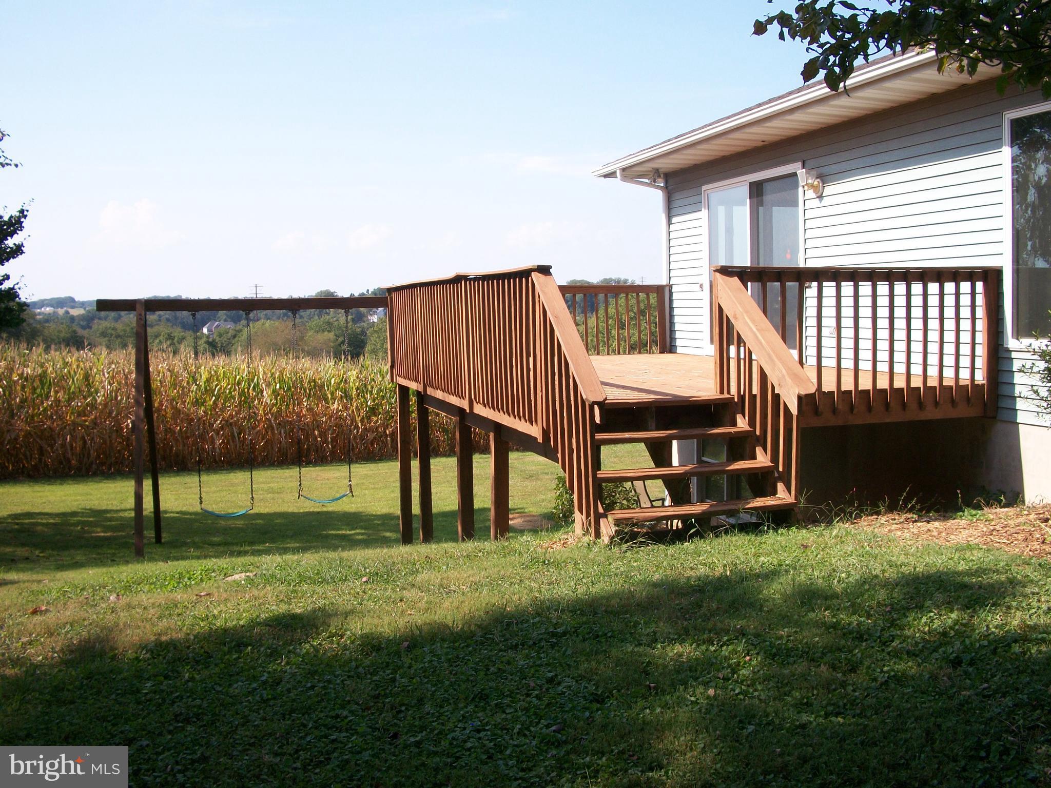 1928 Grafton Shop Road Forest Hill, MD 21050 - Photo 36 of 42 Side Deck with Swings