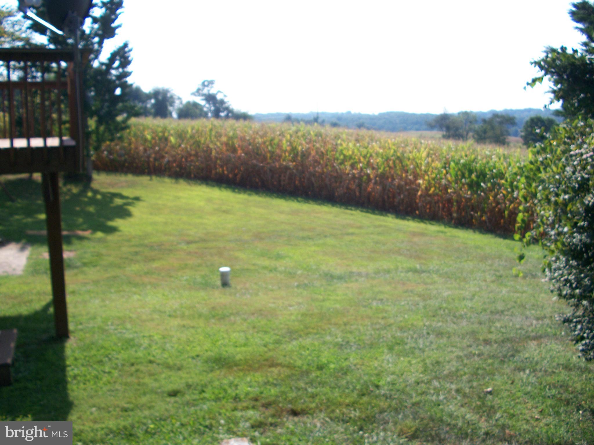 1928 Grafton Shop Road Forest Hill, MD 21050 - Photo 40 of 42 Rear Yard