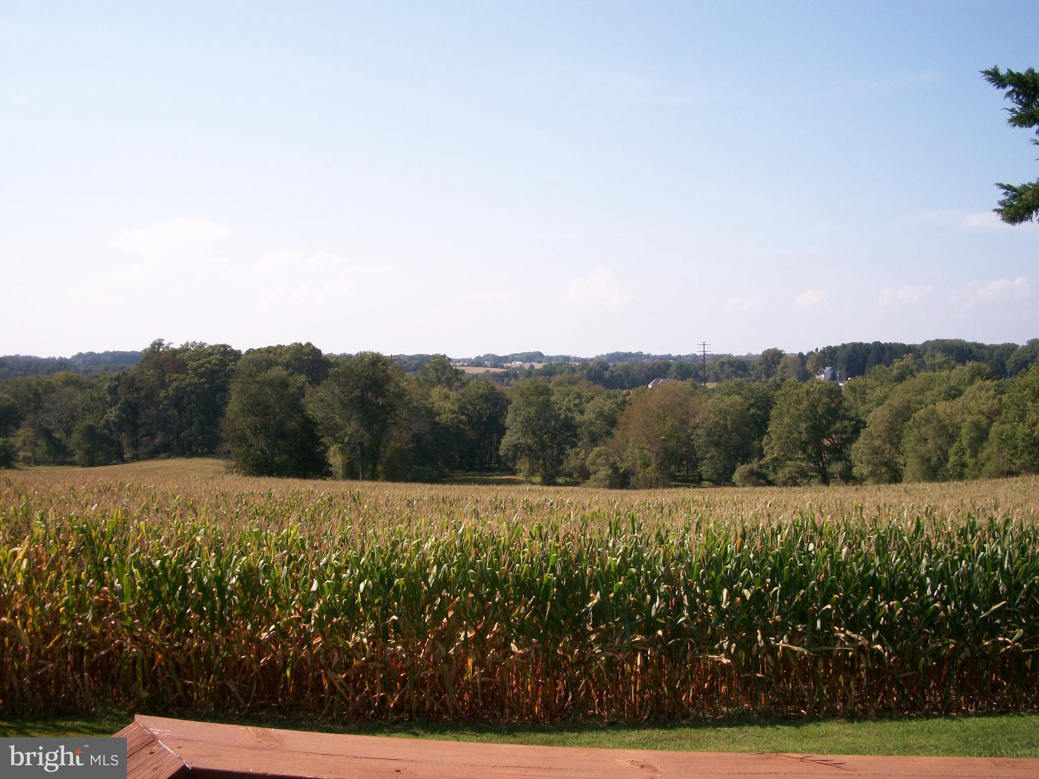 1928 Grafton Shop Road Forest Hill, MD 21050 - Photo 41 of 42 View from Rear Deck