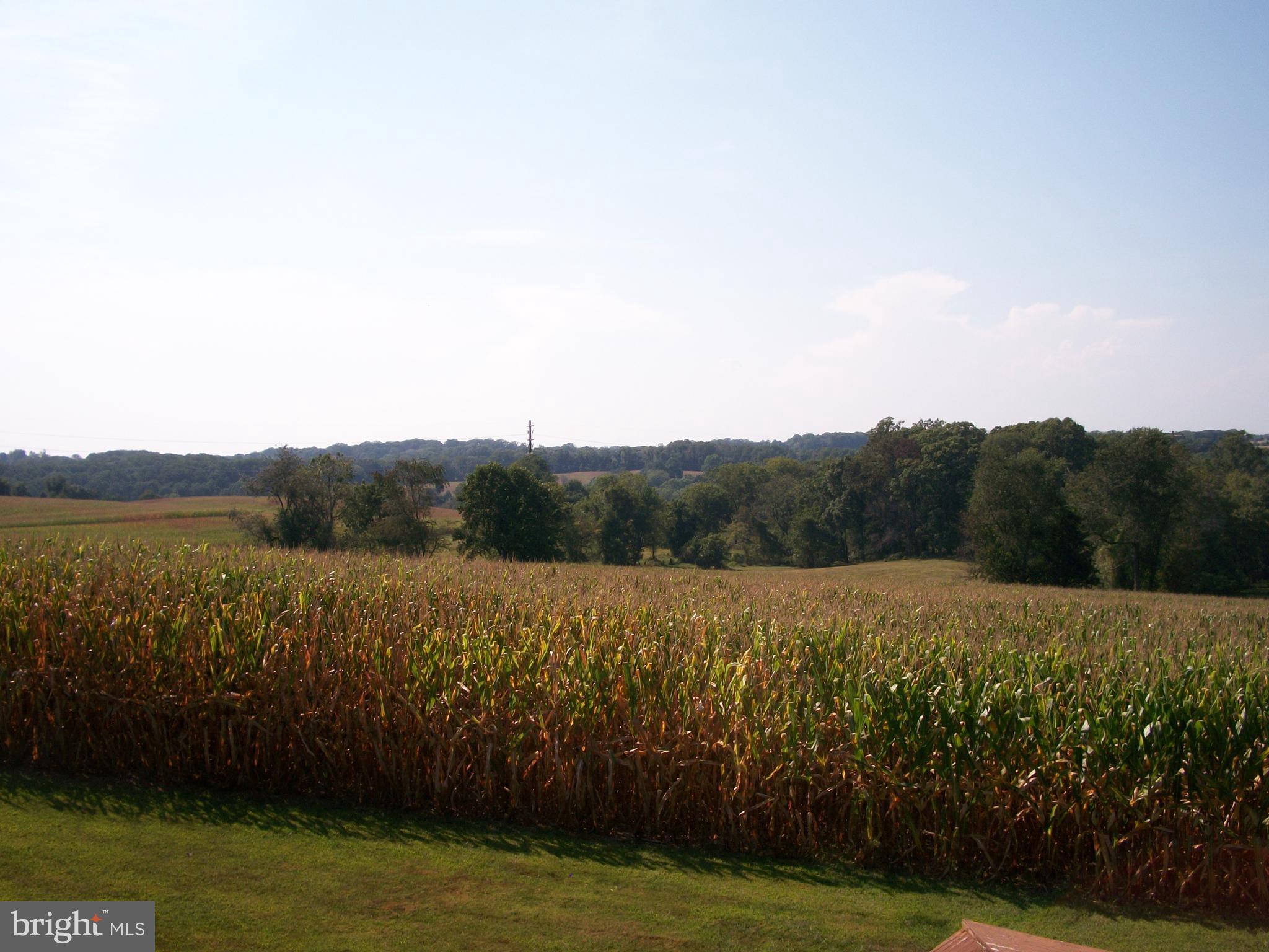 1928 Grafton Shop Road Forest Hill, MD 21050 - Photo 42 of 42 View from Rear Deck