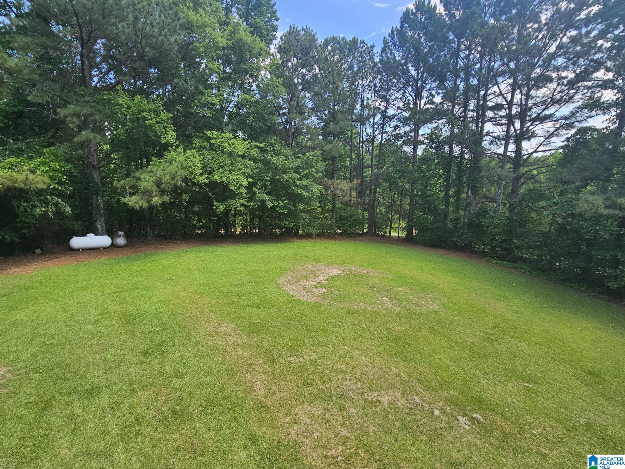 1530 Red Hill School Road Empire, AL 35063 - Photo 39 of 48