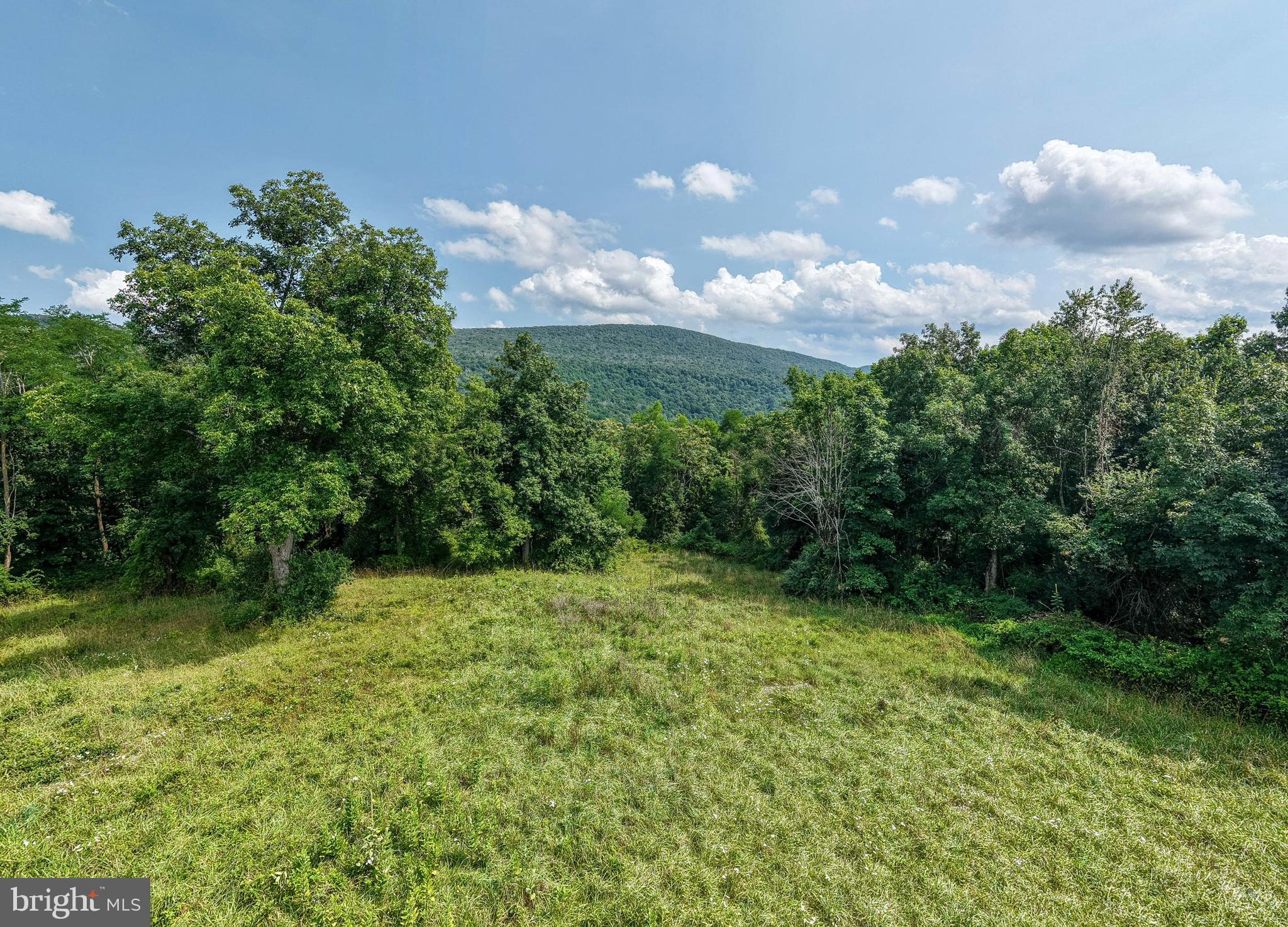 Park Line Road Stanley, VA 22851 - Photo 23 of 31 Gallery Image 23