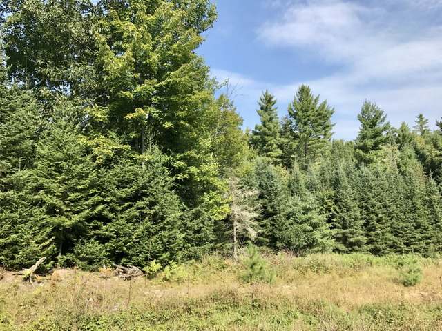 1424 East Bass Lake Road Eagle River, WI 54521 - Photo 10 of 12 Gallery Image 10