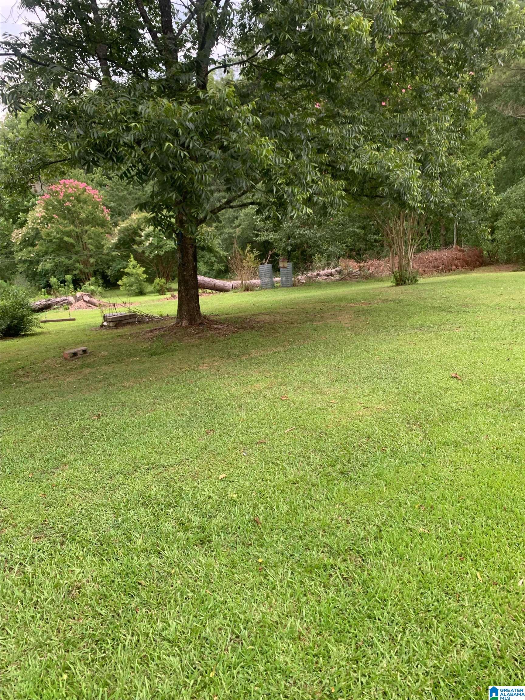 474 Florida Road Pell City, AL 35125 - Photo 4 of 4