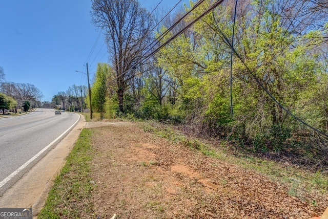 2218 Young Road Stone Mountain, GA 30088 - Photo 22 of 23 a view of a yard with plants and trees