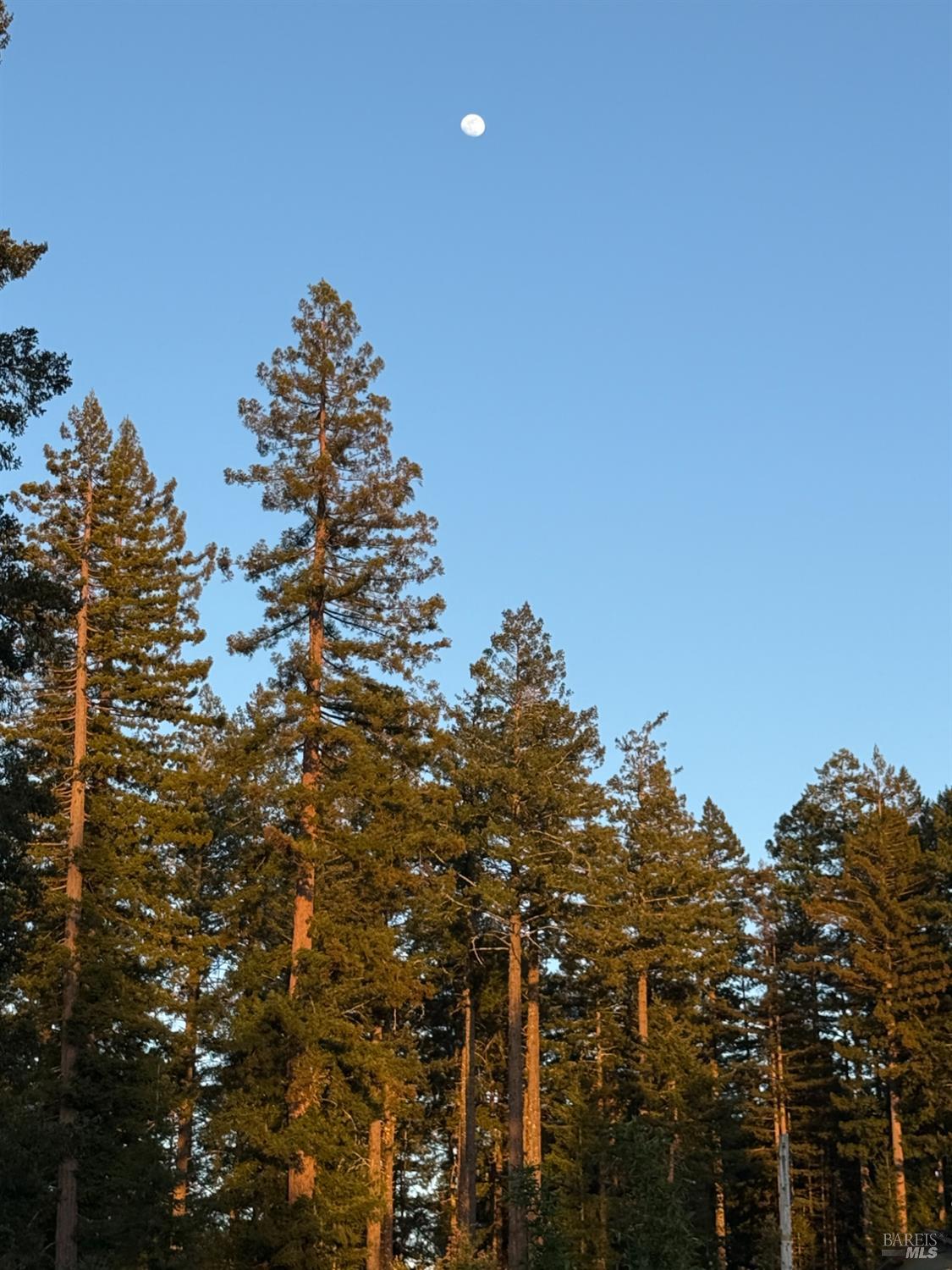 28800 Seaview Road Cazadero, CA 95421 - Photo 12 of 14 a view of a city