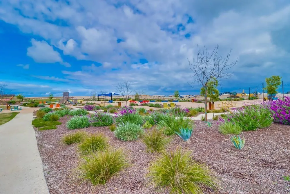 2408 Cascalote Loop San Diego, CA 92154 - Photo 48 of 50 a view of a street with a yard