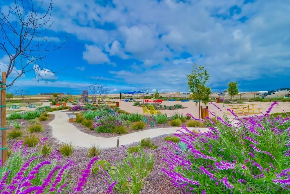 2408 Cascalote Loop San Diego, CA 92154 - Photo 49 of 50 a view of a street with lots of flowers and trees