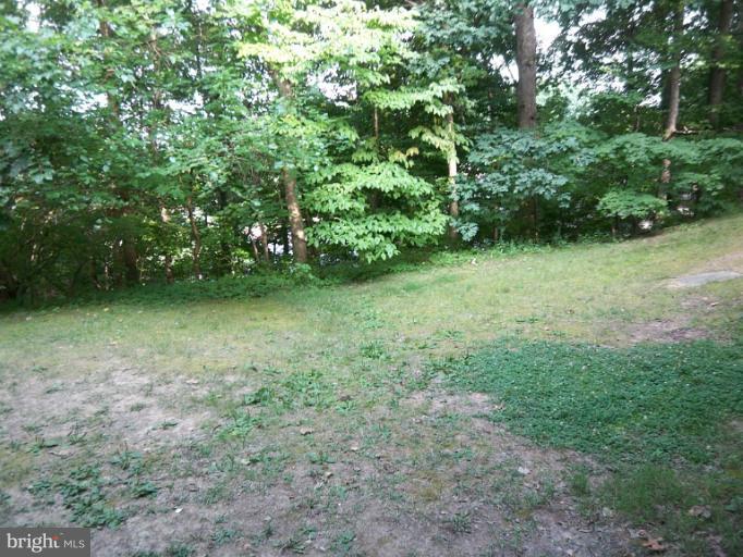 5905 Kingsford Road, Unit 393 Springfield, VA 22152 - Photo 1 of 8 View