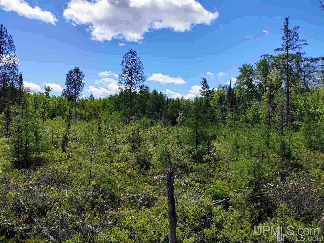 Tbd Co Rd Fp Republic, MI 49879 - Photo 10 of 33