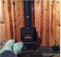 1626 Payne Gulch Road Bailey, CO 80421 - Photo 19 of 34 Gallery Image 19