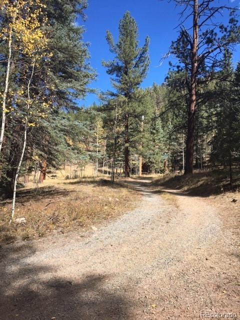 1626 Payne Gulch Road Bailey, CO 80421 - Photo 30 of 34 Gallery Image 30
