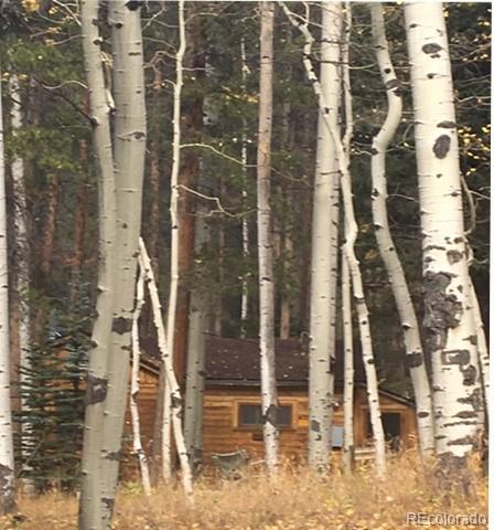 1626 Payne Gulch Road Bailey, CO 80421 - Photo 31 of 34 Gallery Image 31