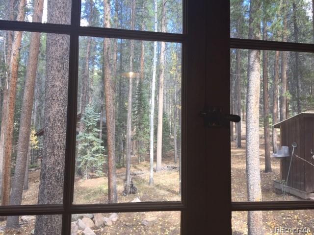 1626 Payne Gulch Road Bailey, CO 80421 - Photo 32 of 34 Gallery Image 32