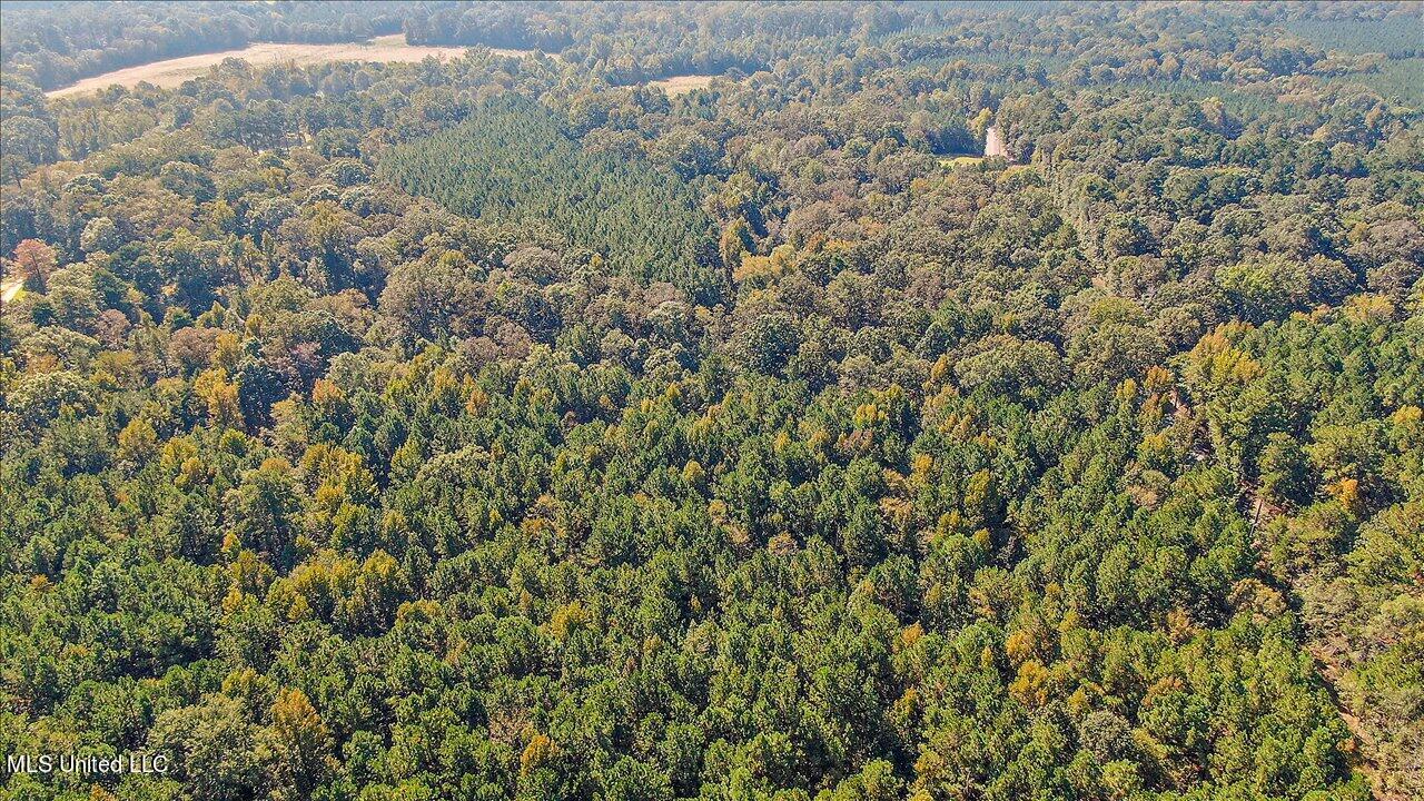 0 Cleary Road Florence, MS 39073 - Photo 24 of 25 24-00 Cleary Rd