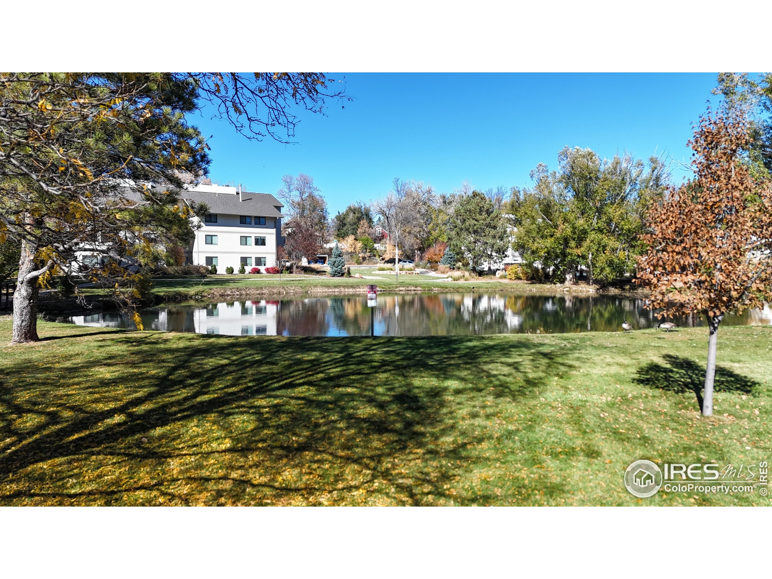 1705 Heatheridge Road, Unit G302 Fort Collins, CO 80526 - Photo 21 of 36