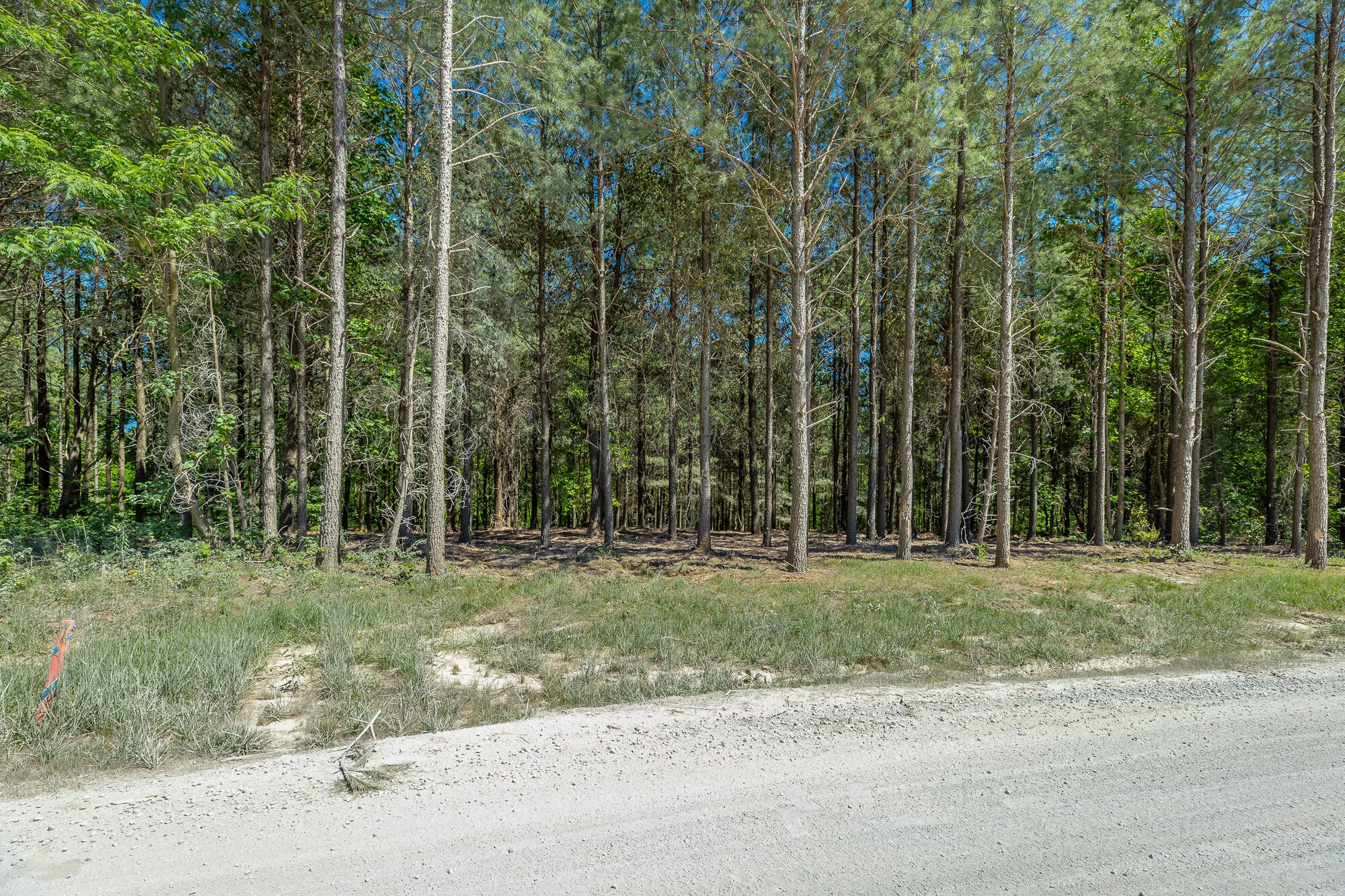 0 Split Rail Way Whiteside, TN 37396 - Photo 28 of 100 Gallery Image 28