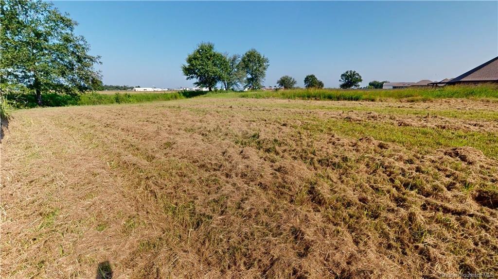 606 Chestnut Street Iowa, LA 70647 - Photo 3 of 10