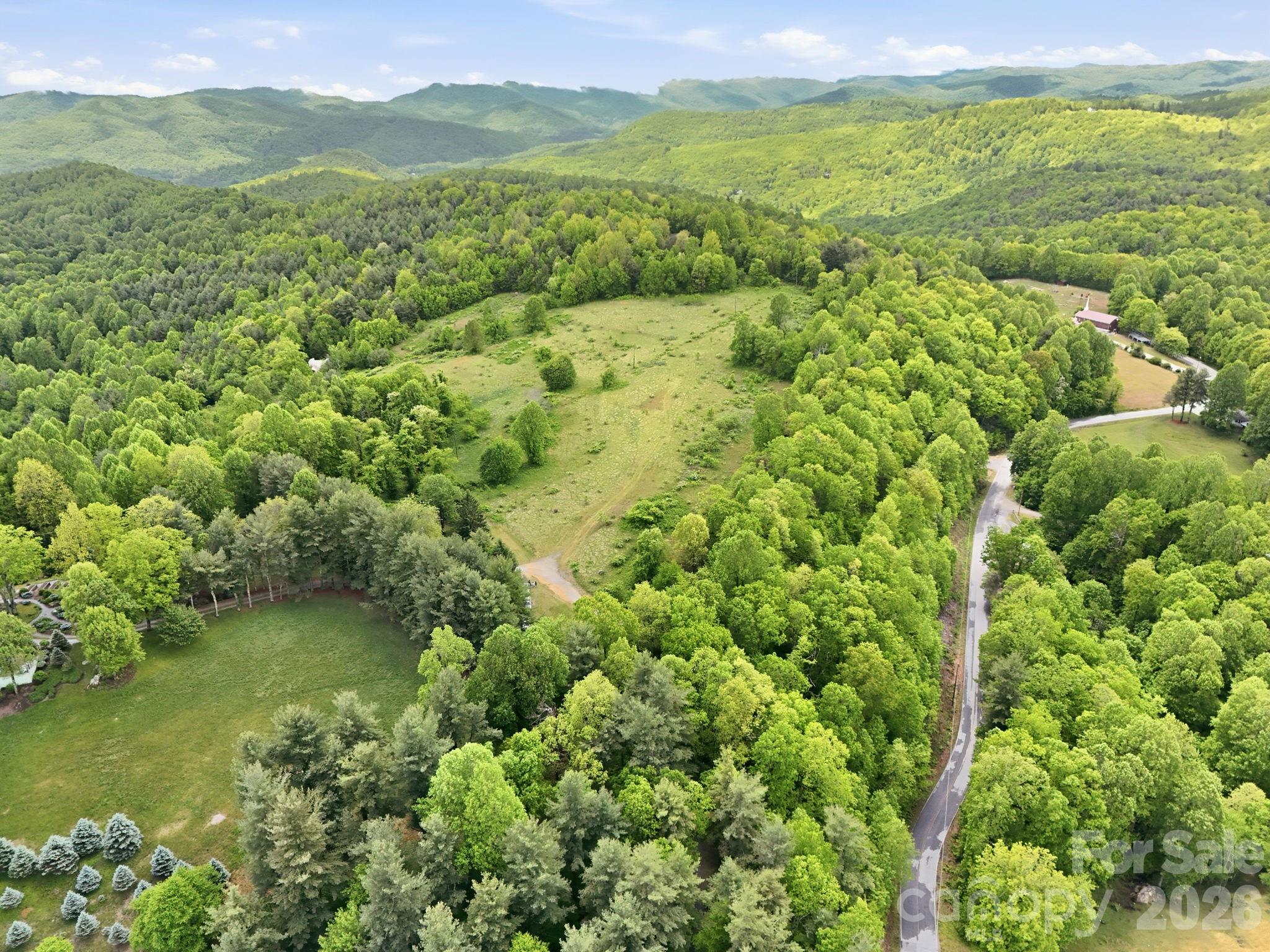 4105 Pinnacle Mountain Road Zirconia, NC 28790 - Photo 13 of 23 a view of a lush green field with a lake