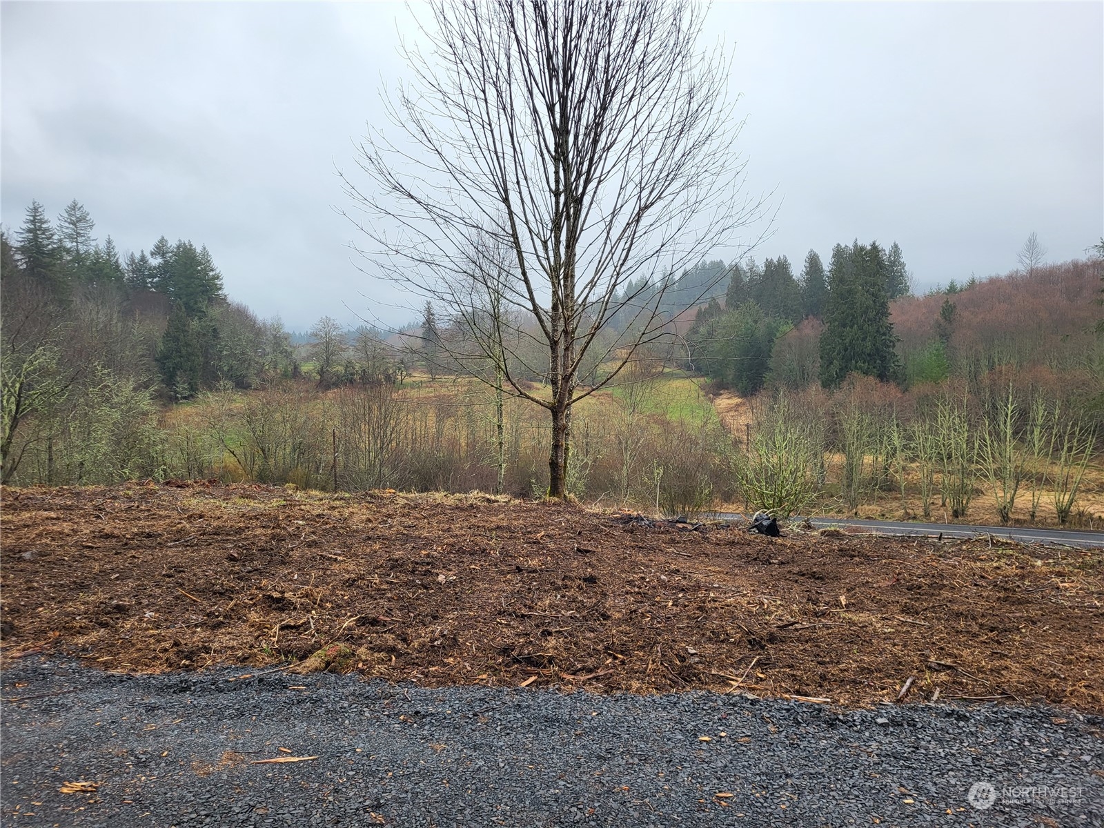 122 Elk Ridge Road Mossyrock, WA 98564 - Photo 12 of 13 Gallery Image 12