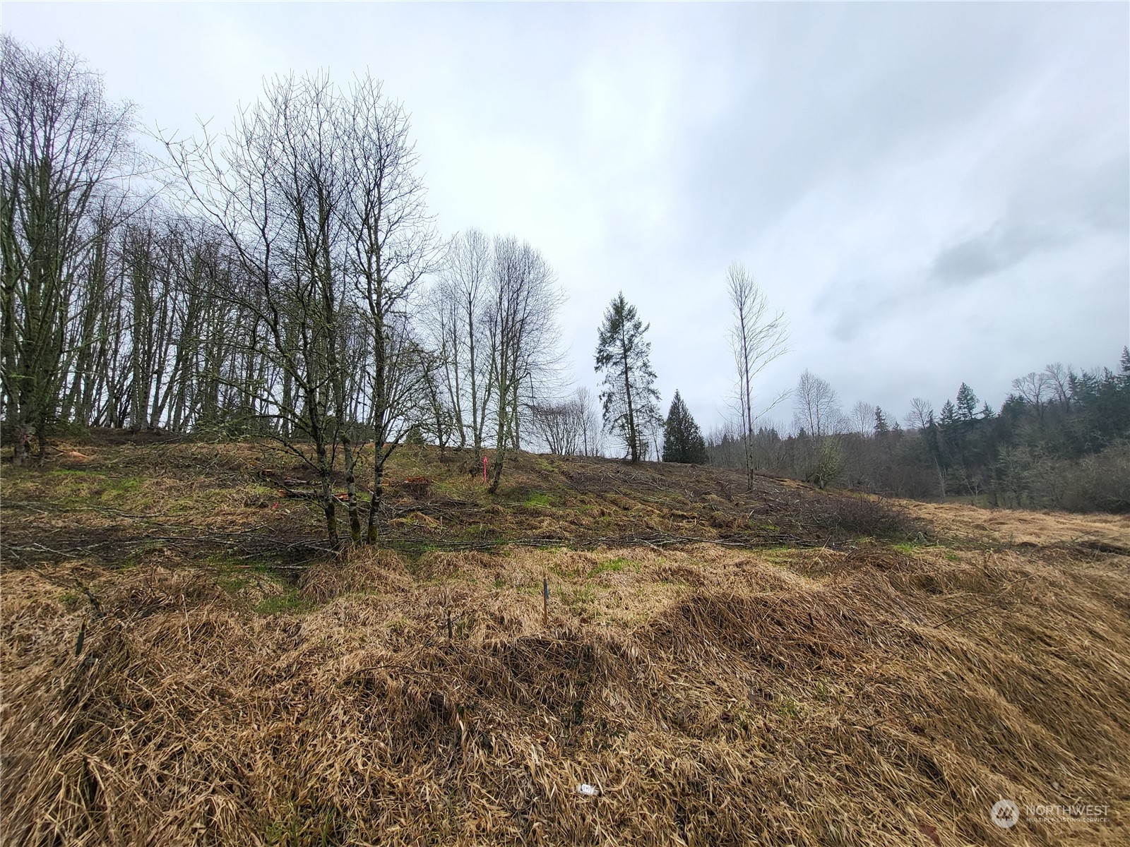 122 Elk Ridge Road Mossyrock, WA 98564 - Photo 8 of 13 Gallery Image 8