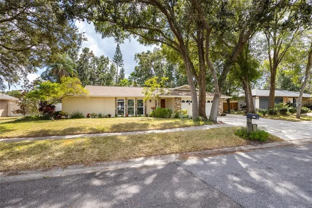 a view of a house with a large tree in front of it