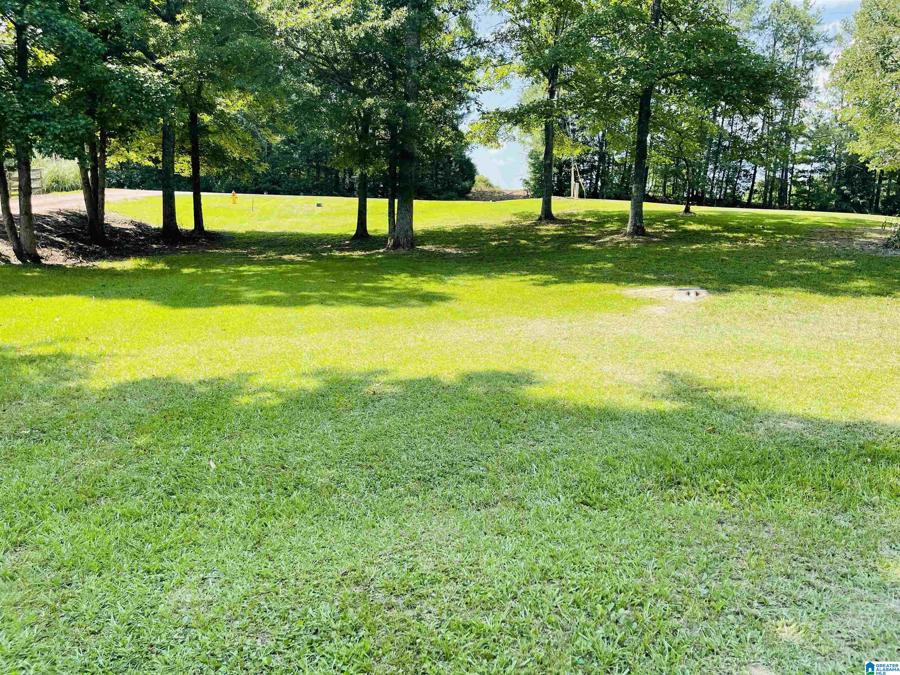 8100 Wolf Creek Road Pell City, AL 35128 - Photo 20 of 22