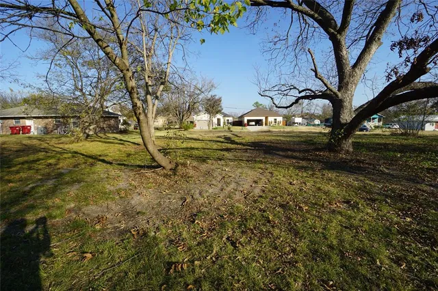 a view of a yard with yellow lighting