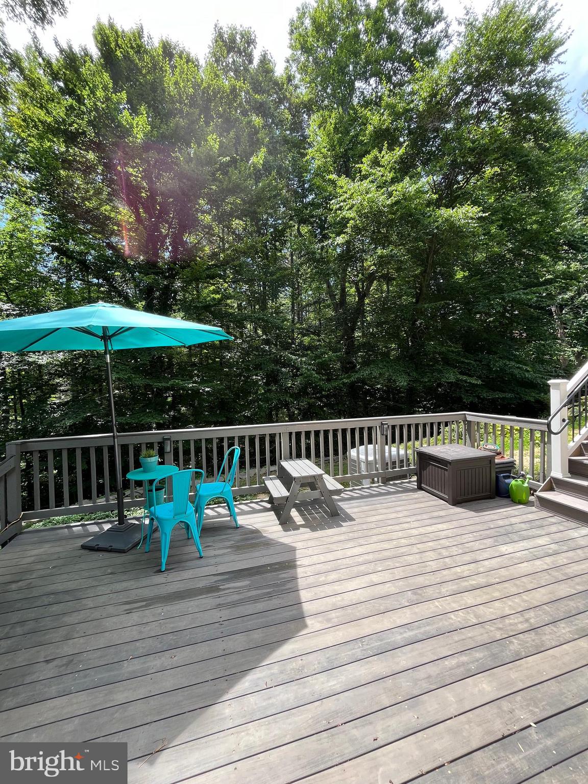 7238 Whitson Drive Springfield, VA 22153 - Photo 61 of 65