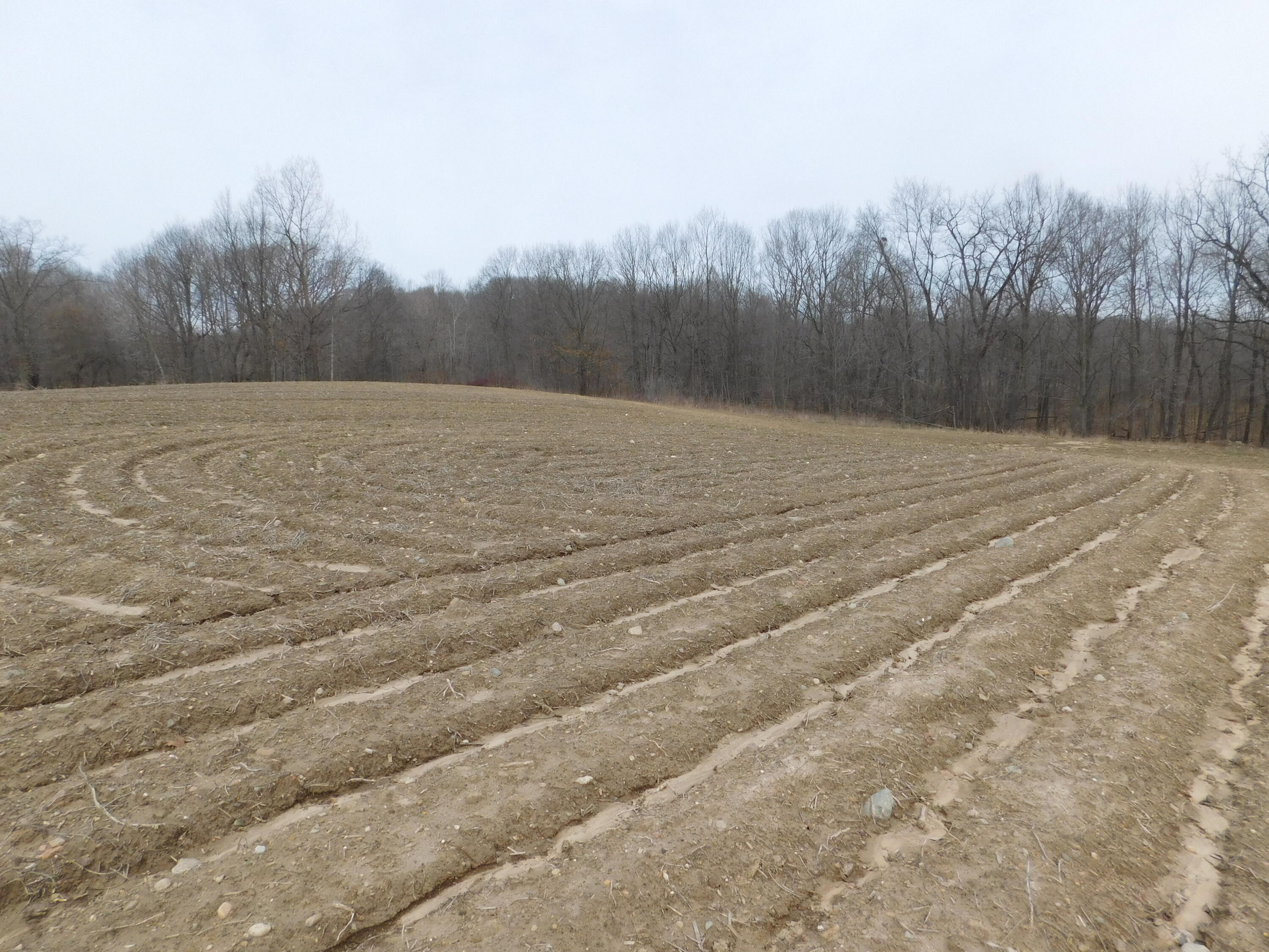 Cox Road Bellevue, MI 49021 - Photo 1 of 10 DSCN1664