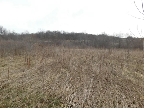 $588,888 | Cox Road, Bellevue, MI 49021