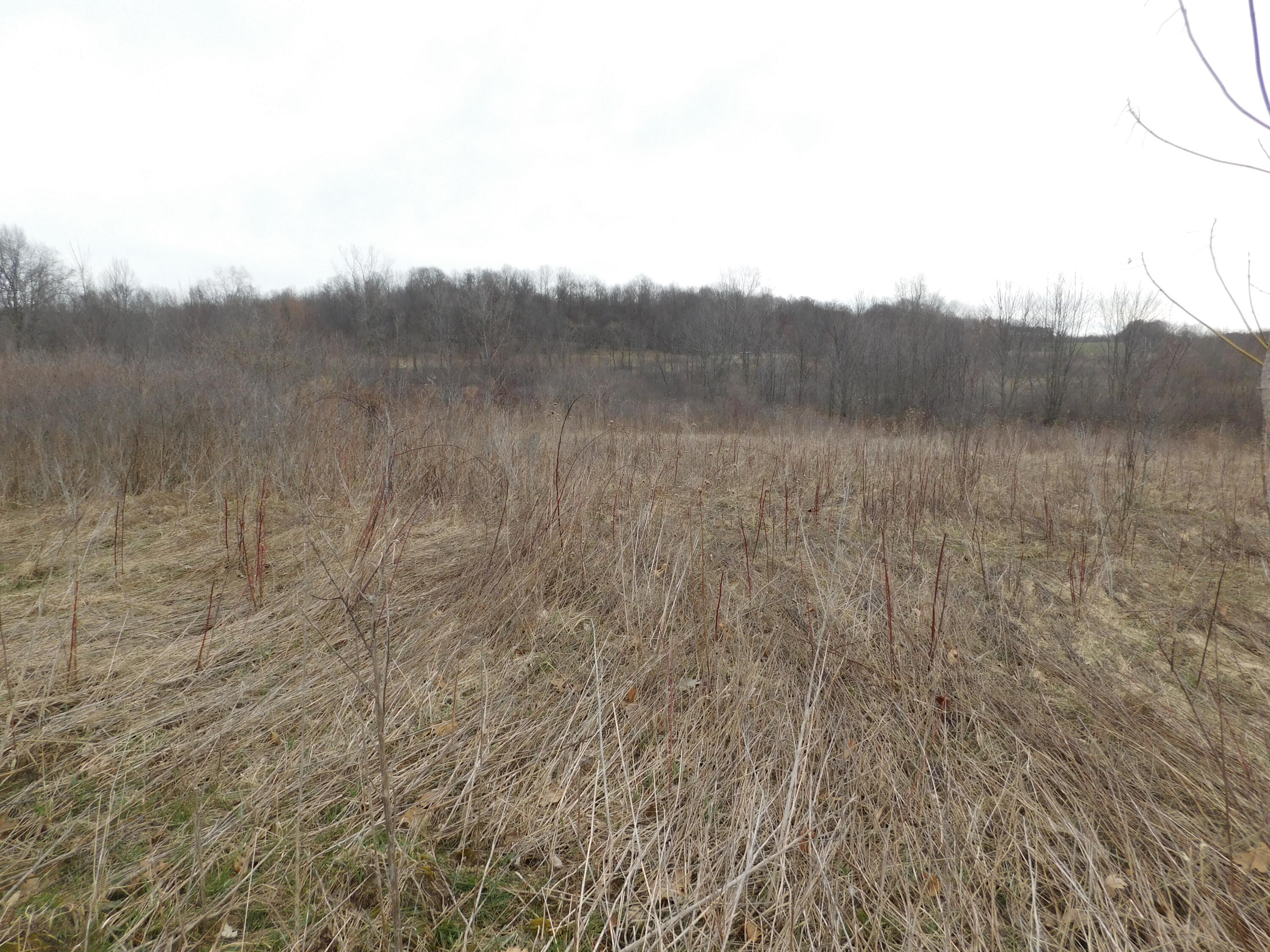 Cox Road Bellevue, MI 49021 - Photo 2 of 10 DSCN1660