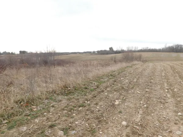 $588,888 | Cox Road, Bellevue, MI 49021