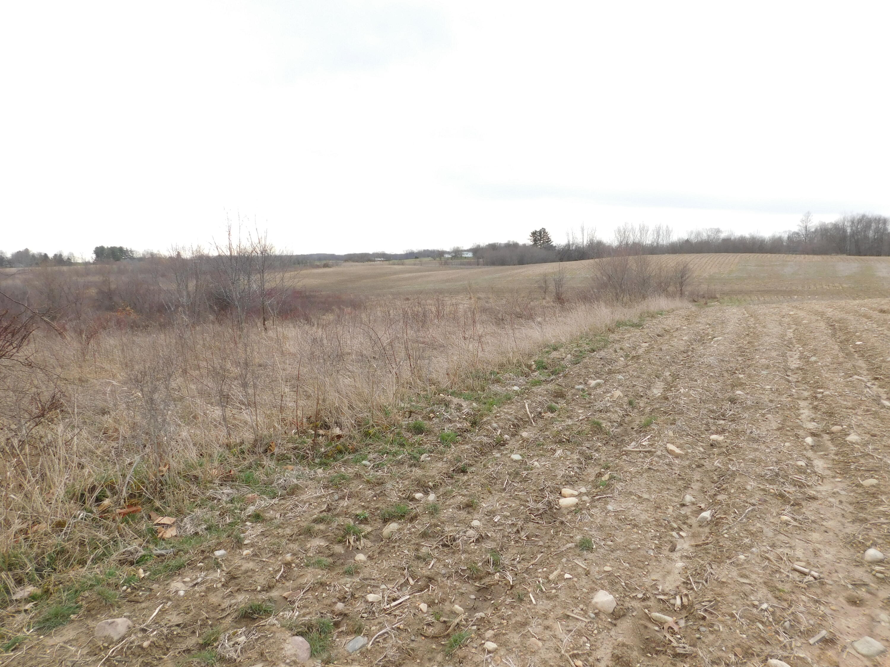 Cox Road Bellevue, MI 49021 - Photo 3 of 10 DSCN1661