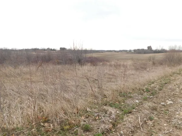 $588,888 | Cox Road, Bellevue, MI 49021