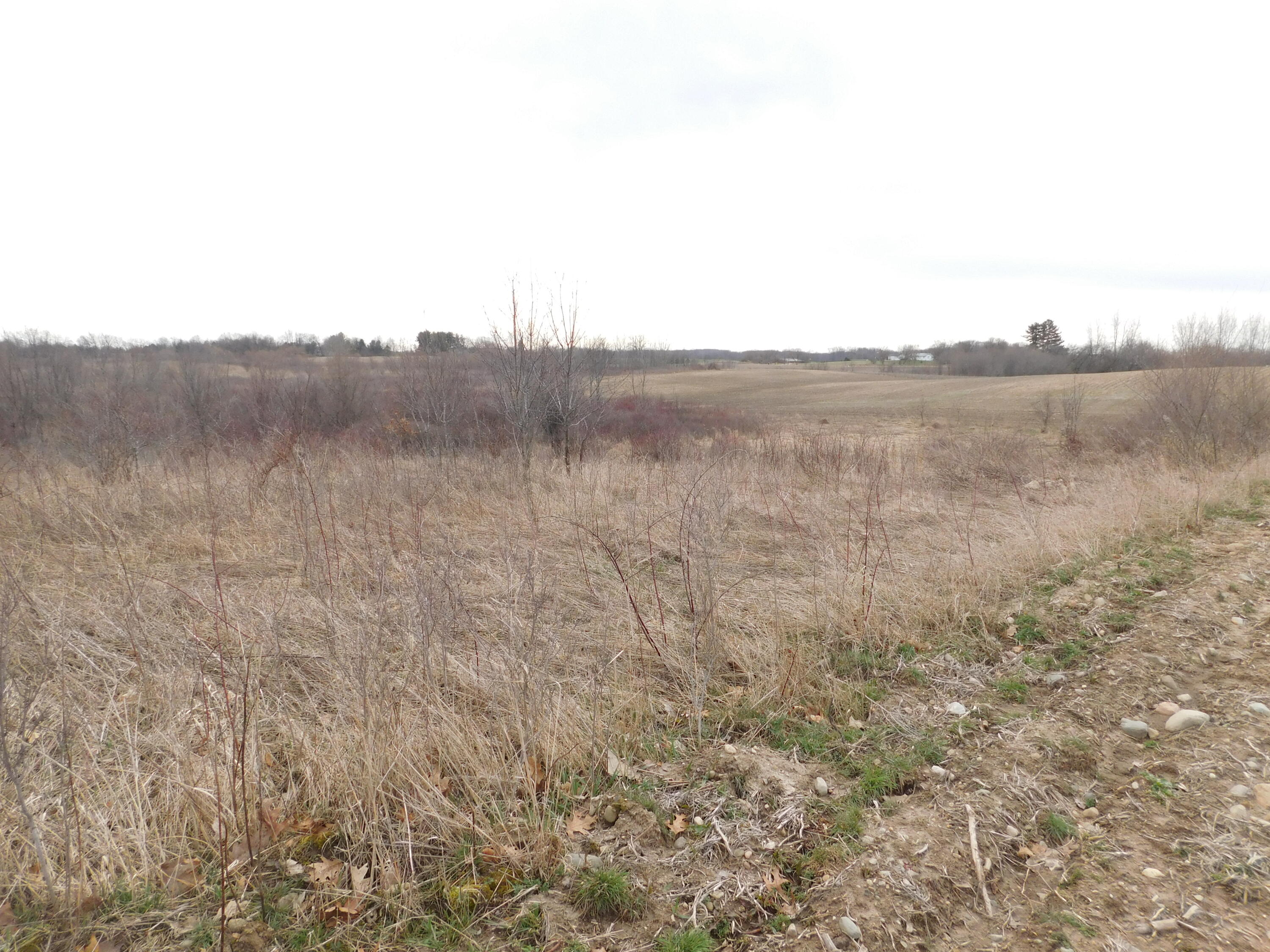 Cox Road Bellevue, MI 49021 - Photo 4 of 10 DSCN1662