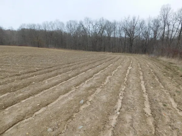 $588,888 | Cox Road, Bellevue, MI 49021