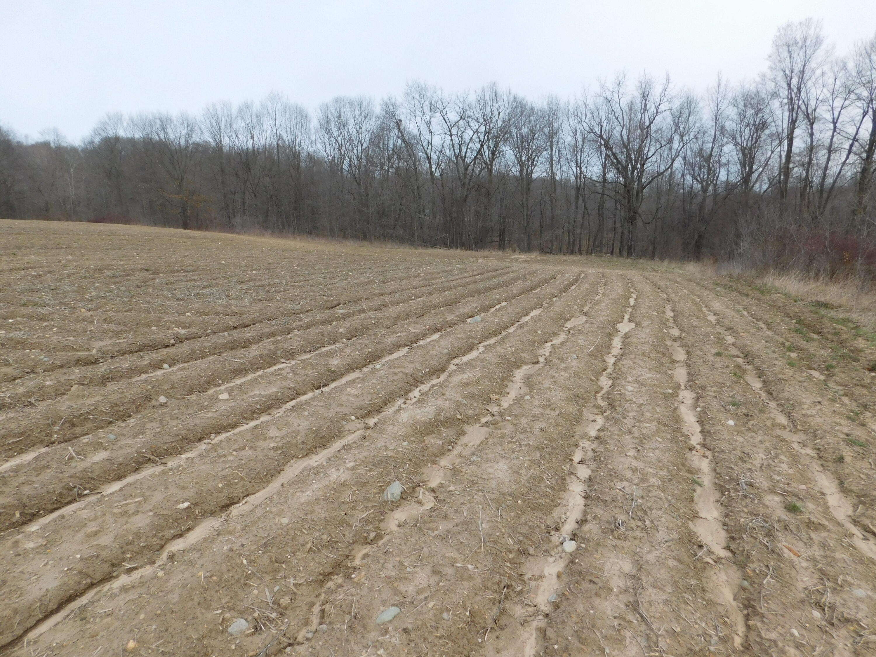 Cox Road Bellevue, MI 49021 - Photo 5 of 10 DSCN1663