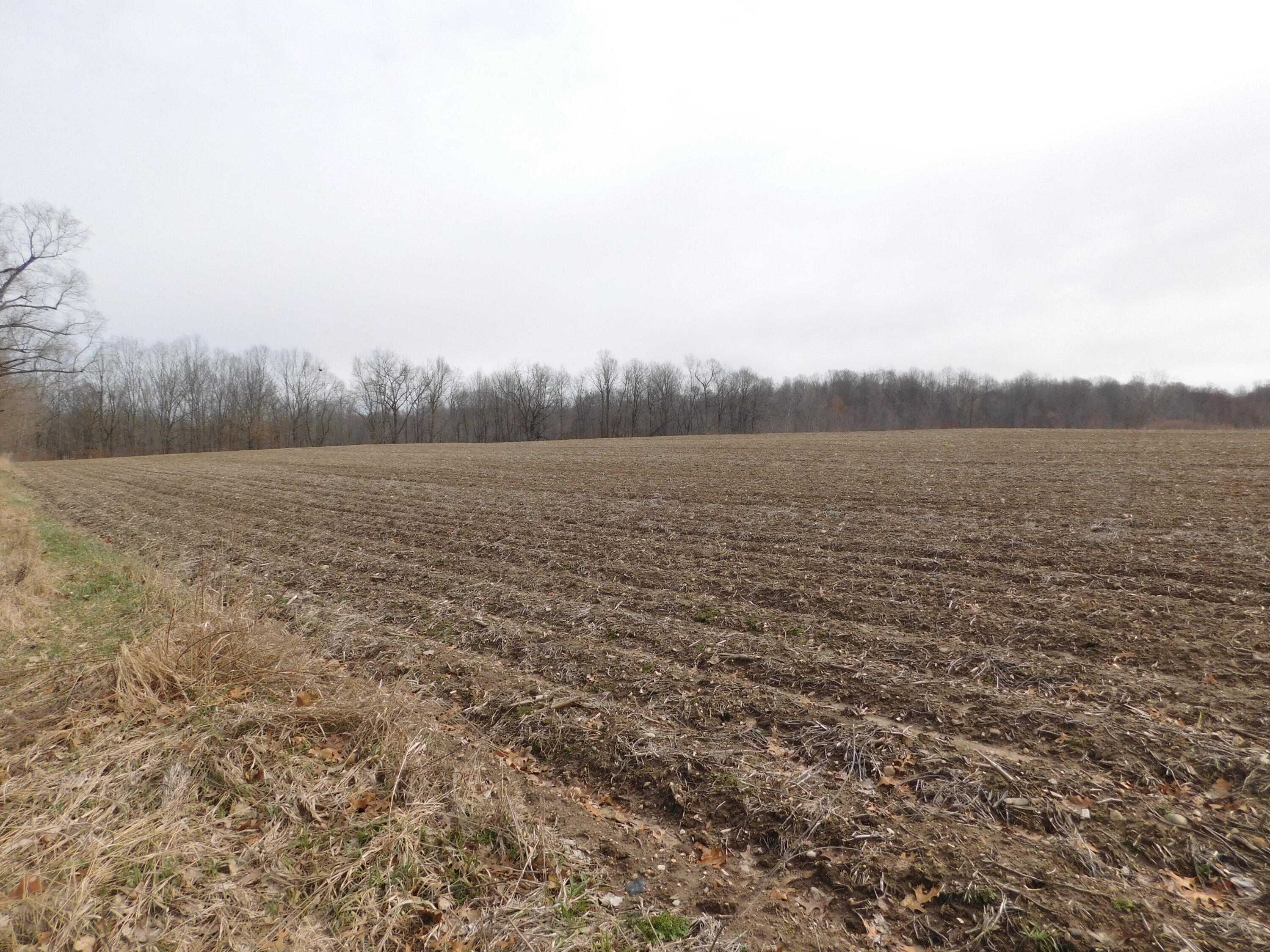 Cox Road Bellevue, MI 49021 - Photo 6 of 10 DSCN1667