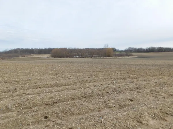 $588,888 | Cox Road, Bellevue, MI 49021