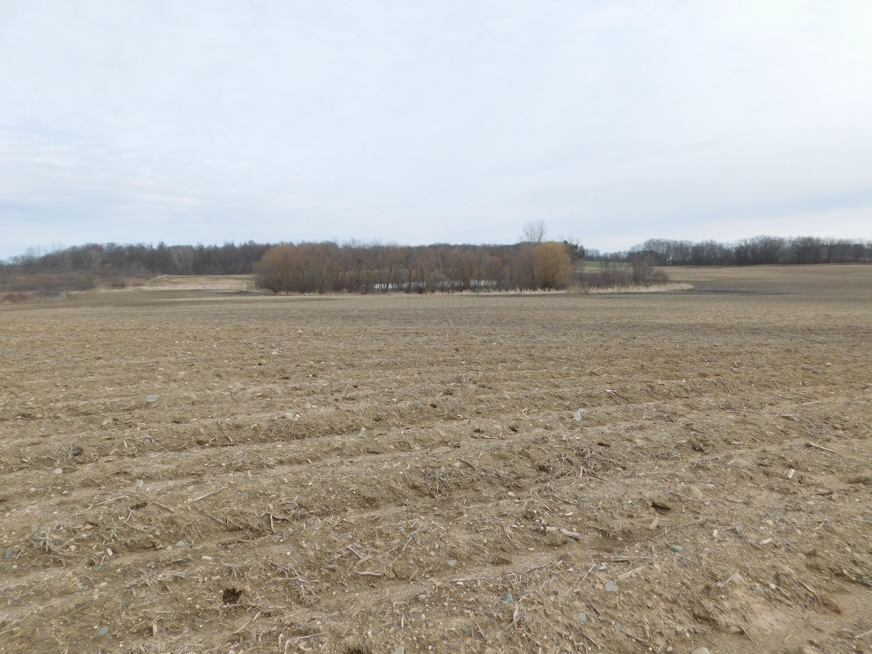 Cox Road Bellevue, MI 49021 - Photo 7 of 10 DSCN1669