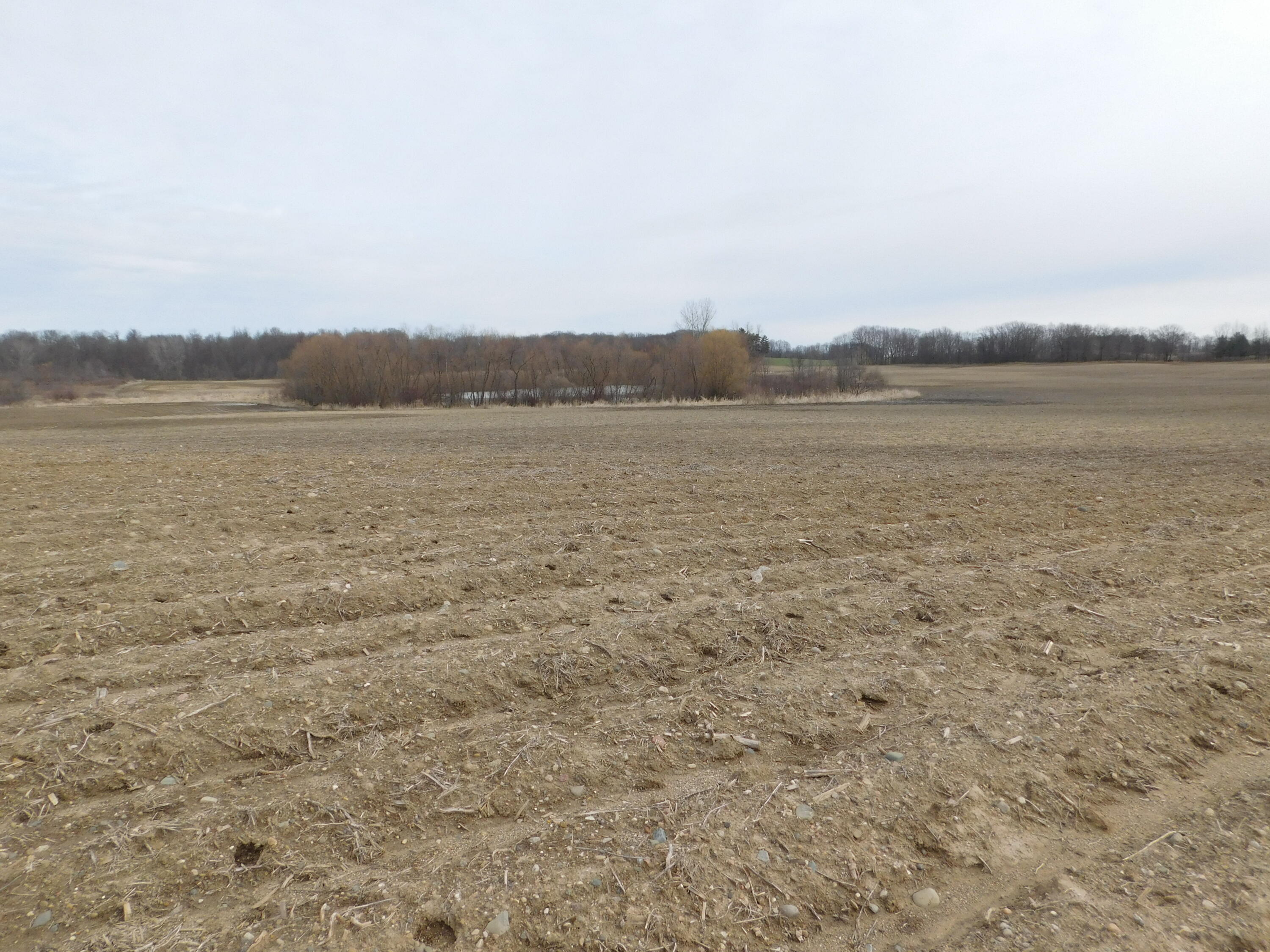 Cox Road Bellevue, MI 49021 - Photo 10 of 10 DSCN1672